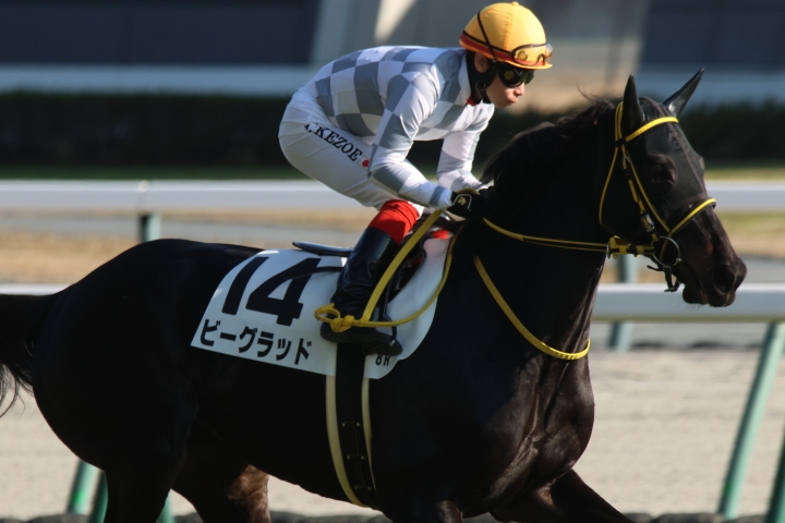 2025年12月 ビーグラッド