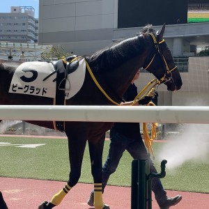 9月10日　デビュー戦