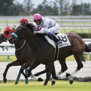 新馬戦 レース