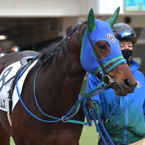 2024/1/7 3歳未勝利