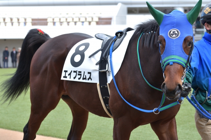 2024/1/7 3歳未勝利 エイブラムス