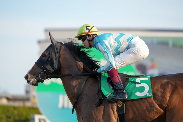 2024/6/11 ジューンフラワー賞 ムーンヘイロー