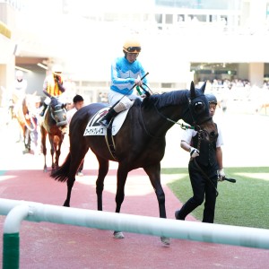 2026/4/12 4歳以上1勝クラス(牝)