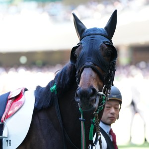 2026/4/12 4歳以上1勝クラス(牝)