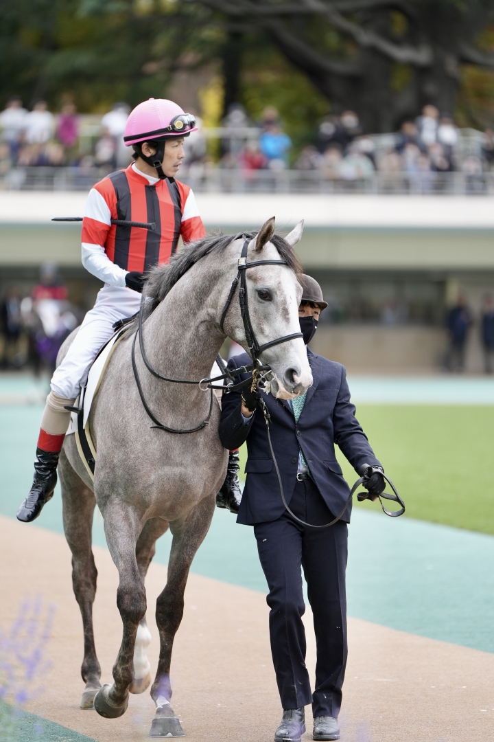 2023/11/11 2歳新馬 ウインドラート