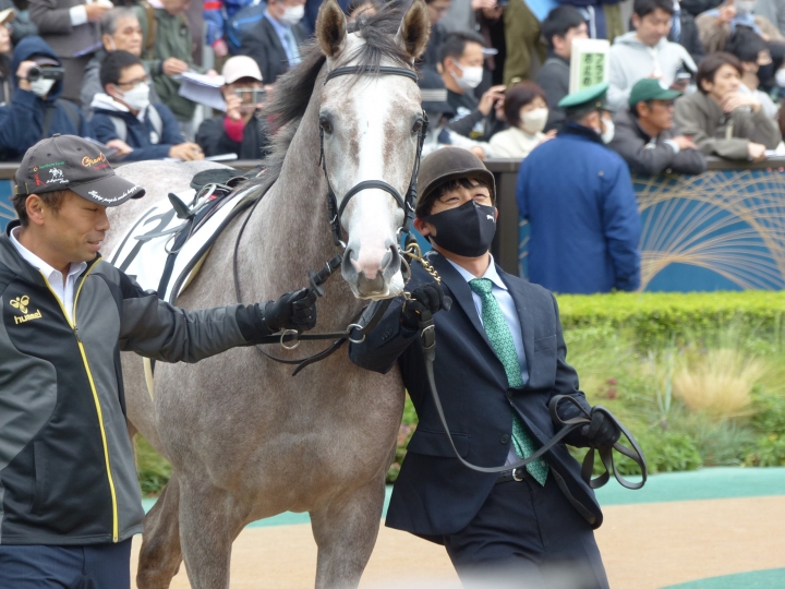 2023年11月 ウインドラート
