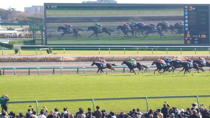 ゴール直前 ウインマクシマム