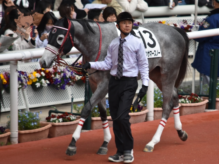 ３戦目パドック ウインサマースノー