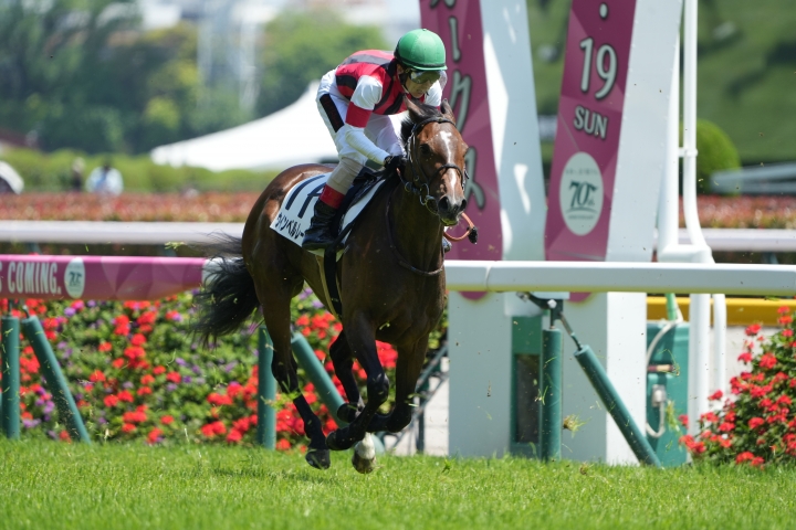 2024/5/18 3歳未勝利 ウインベルレーヌ