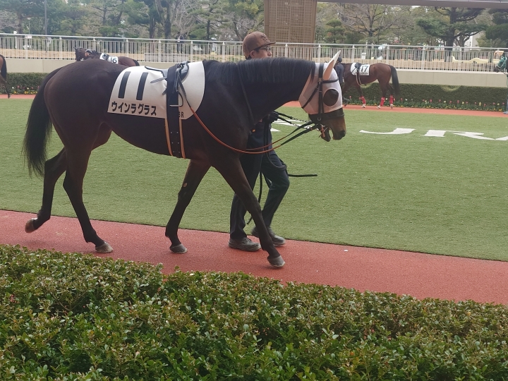 2024年2月 ウインラグラス