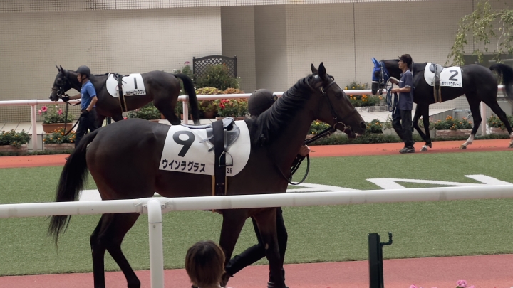 2023年10月 ウインラグラス