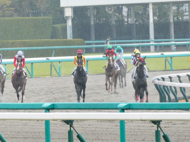 3歳未勝利　レース後 スターチスブーケ