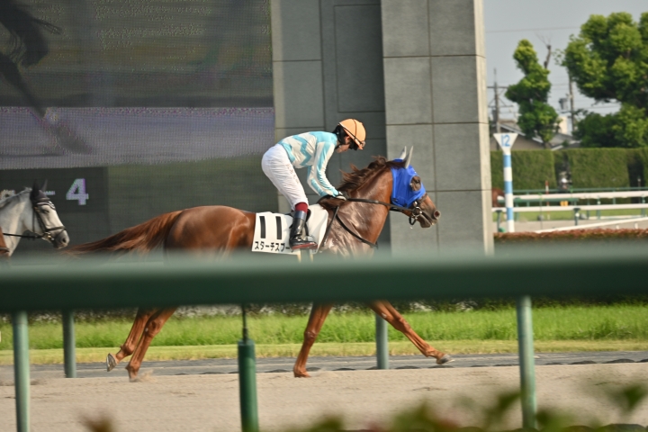 2024年9月 スターチスブーケ