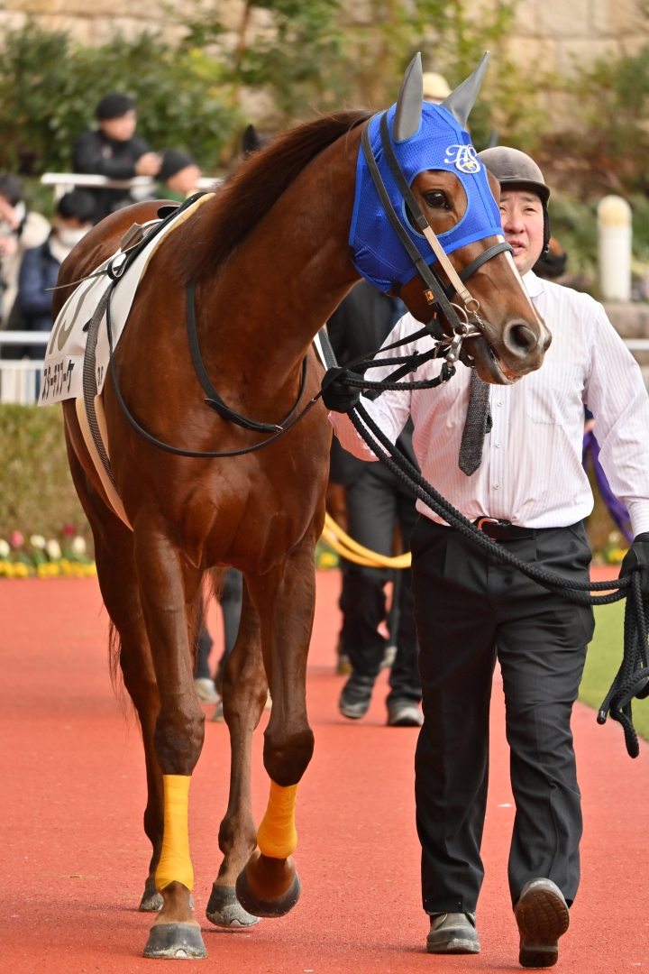 2025年2月 スターチスブーケ