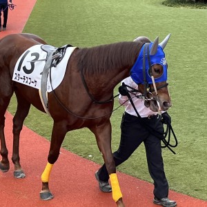 2025/2/2 4歳以上1勝クラス