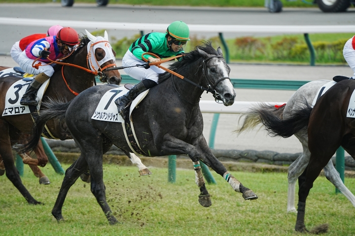 2023/7/23 2歳新馬 ソウルアンドジャズ