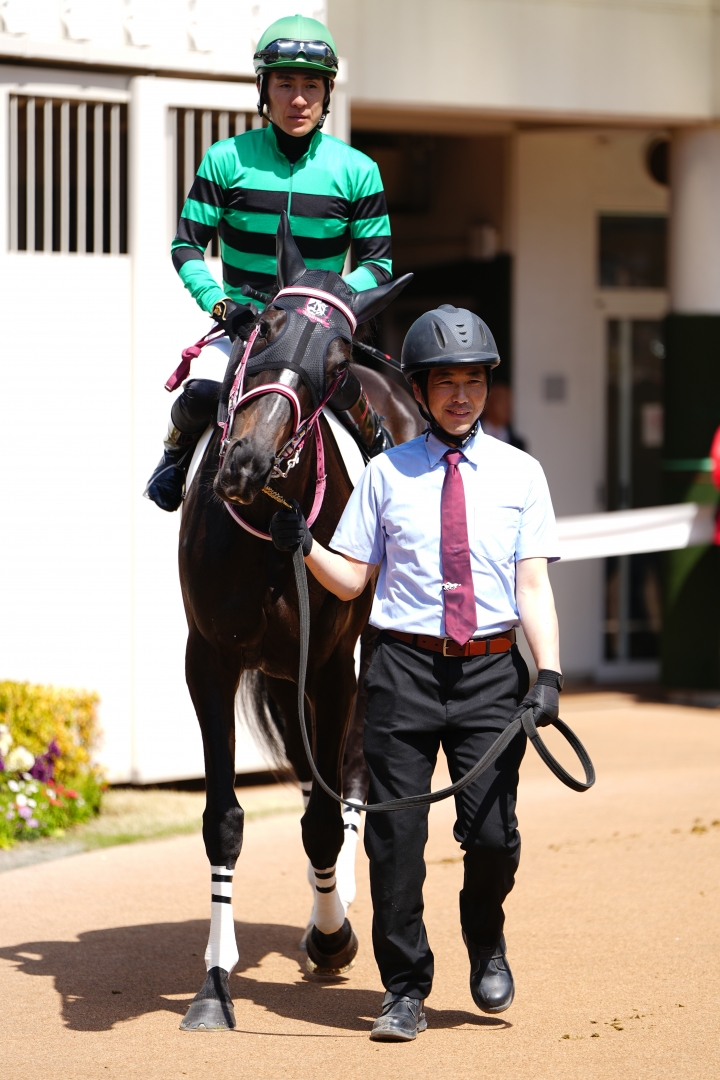 2024/3/30 3歳未勝利 ダズリングティアラ