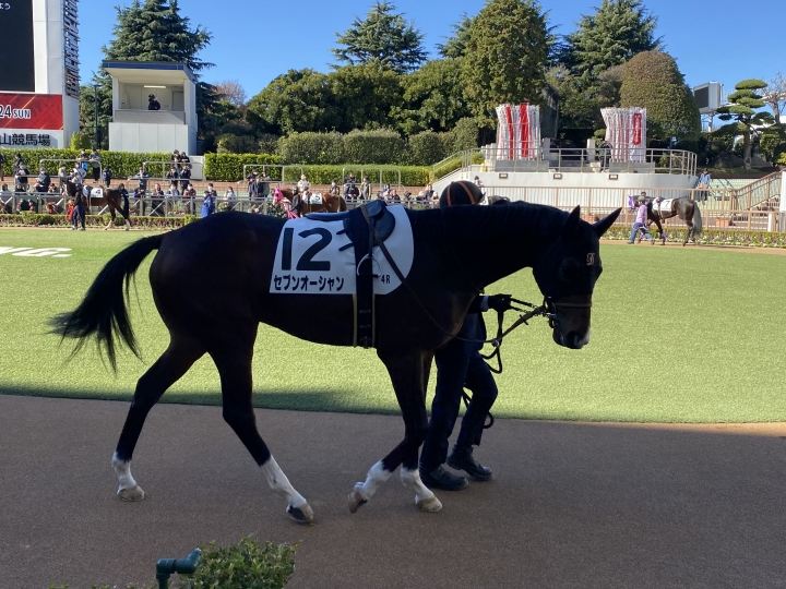 2023年12月 セブンオーシャン