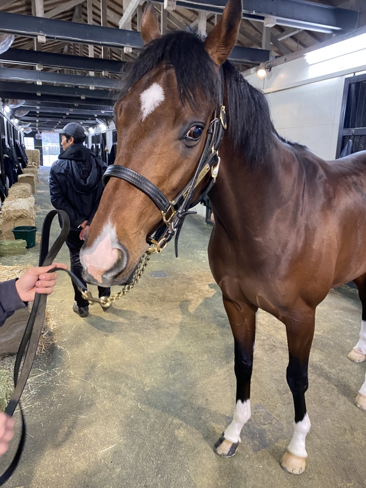 NF天栄 セブンオーシャン