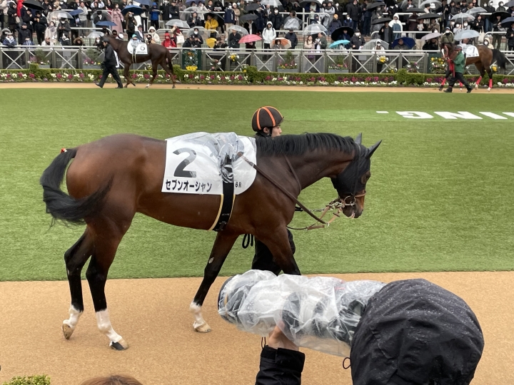 2024年2月 セブンオーシャン