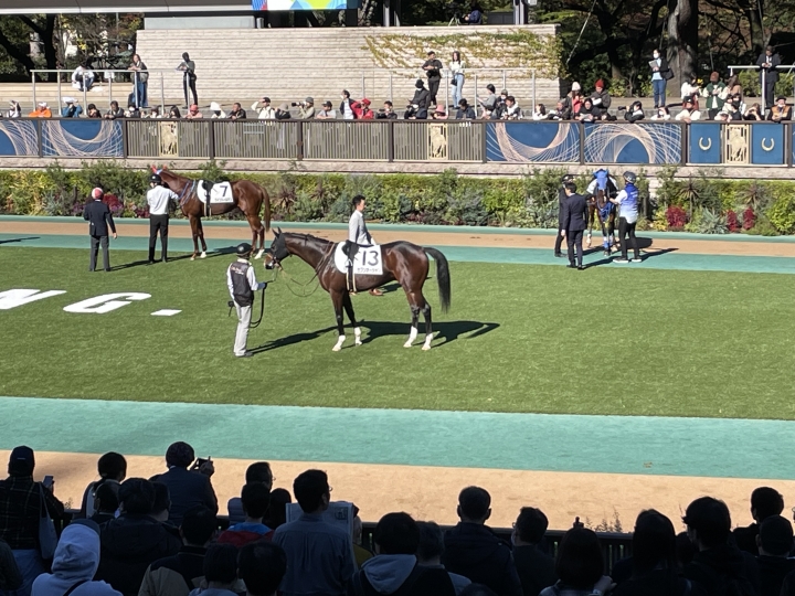 2023年11月 セブンオーシャン