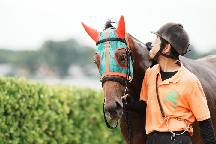 2023/9/9 2歳新馬 グラシリティ