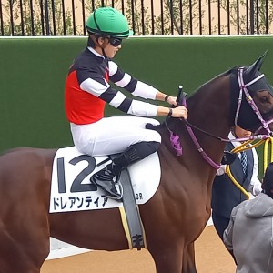 2023年10月8日　２歳新馬