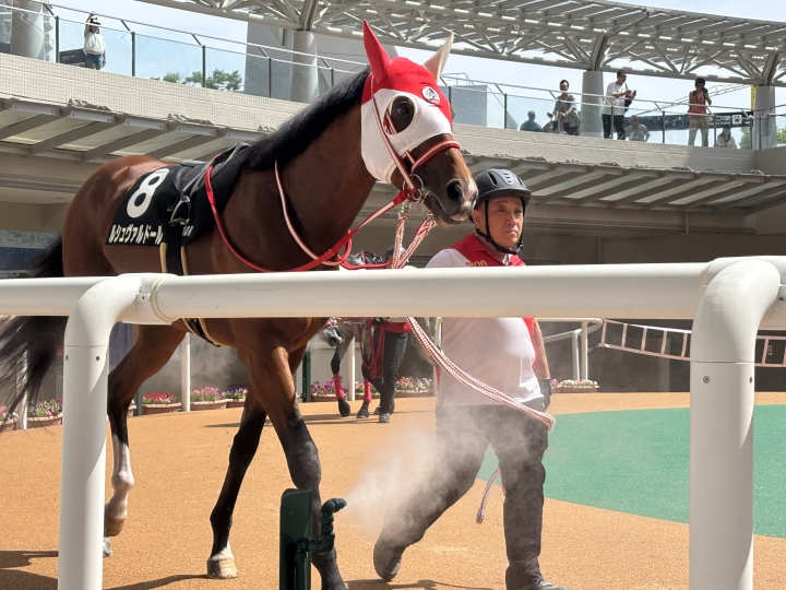 2025年6月 ルシュヴァルドール