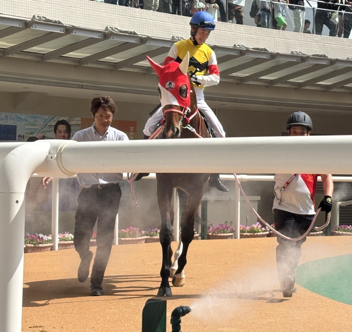 2025年6月 ルシュヴァルドール