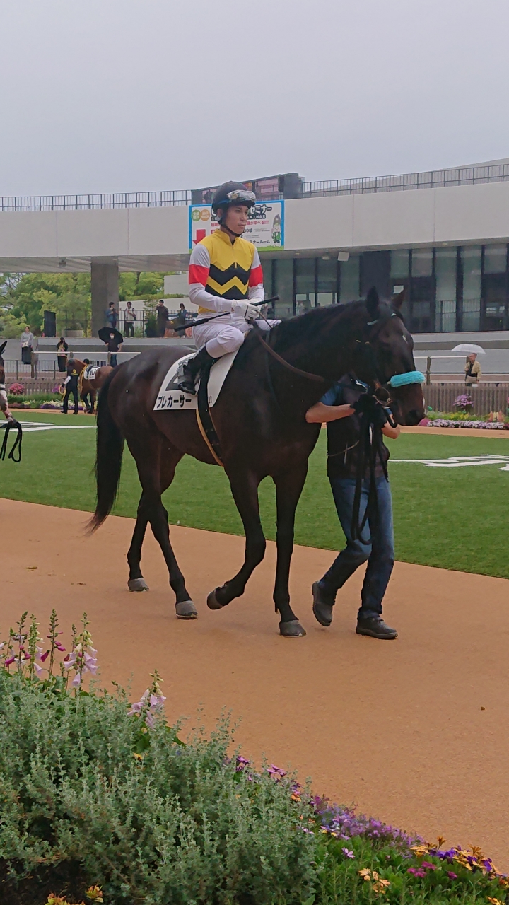 2024/5/19 3歳未勝利 プレカーサー