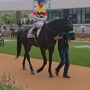 2024/5/19 3歳未勝利