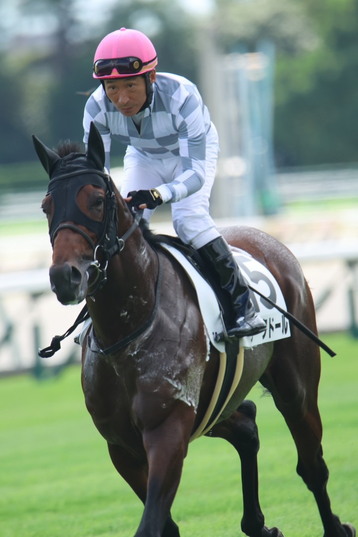 2024/9/21 3歳以上1勝クラス アークドール