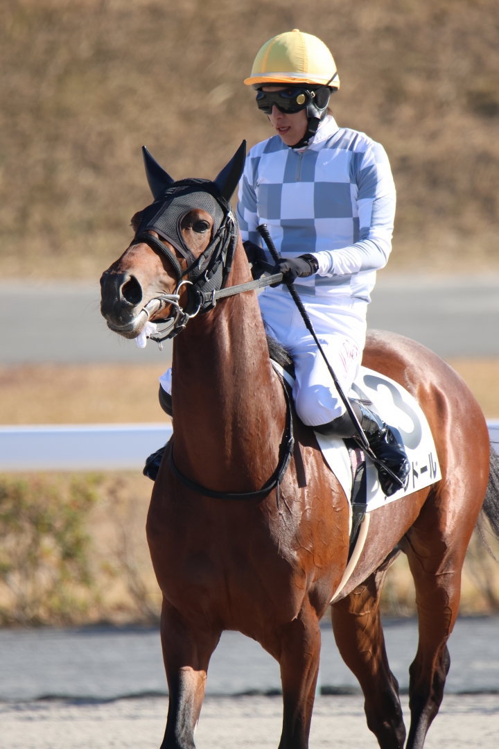 2024/12/14 3歳以上1勝クラス アークドール