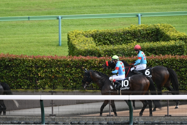 レースを終えて エストレヤデベレン