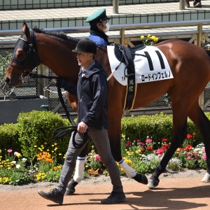 18戦目パドック