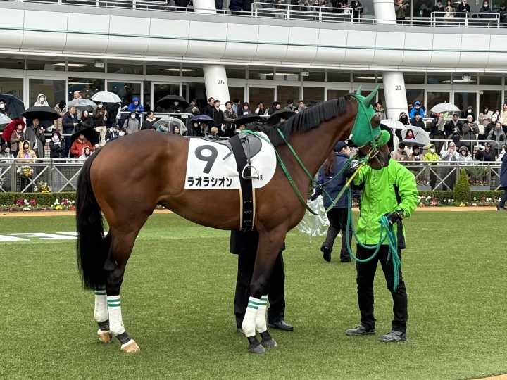 2勝目！ ラオラシオン