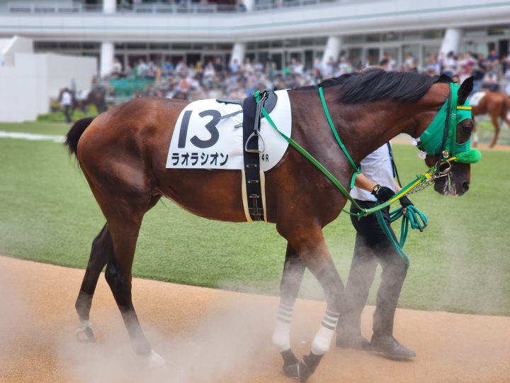 ラオラシオン　新馬戦 ラオラシオン