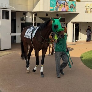 2025/3/1 4歳以上2勝クラス