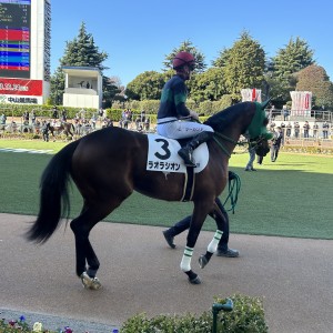 2023/12/9 2歳未勝利