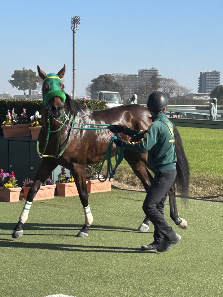 2023/12/9 2歳未勝利 ラオラシオン