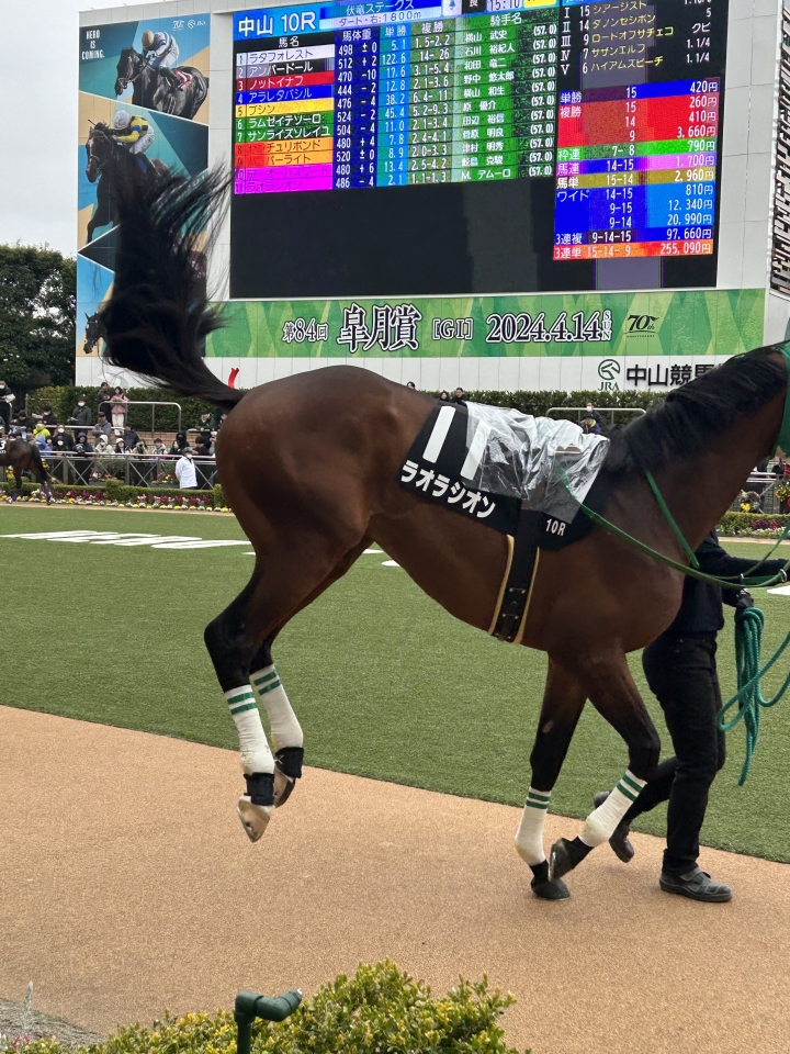 2024/3/23 伏竜S(OP) ラオラシオン