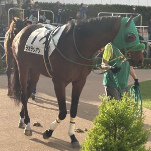 2025/3/1 4歳以上2勝クラス