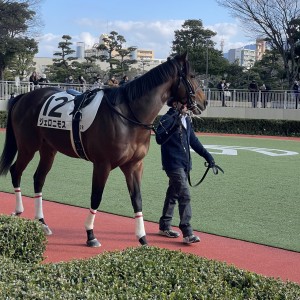 2024/2/10 3歳未勝利