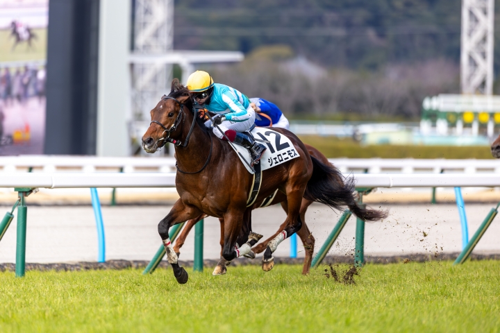 ジェロニモスくん、初勝利 ジェロニモス