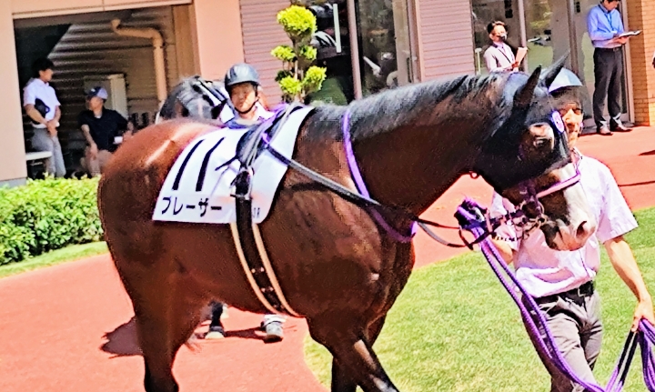 新潟3Rダート1200未勝利　5着 ブレーザー