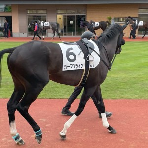 2025/5/25 4歳以上1勝クラス