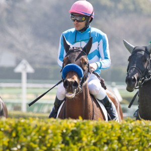 2024/3/16 3歳未勝利(牝)