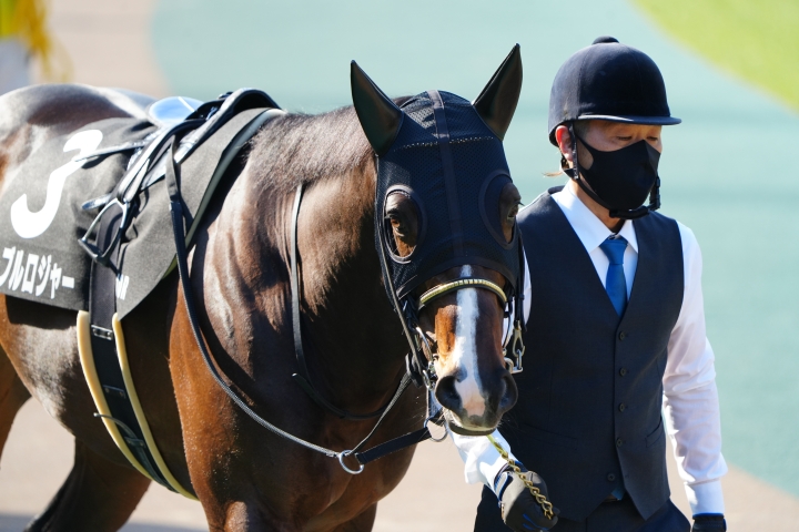 2026/2/15 バレンタインS(OP) ノーブルロジャー