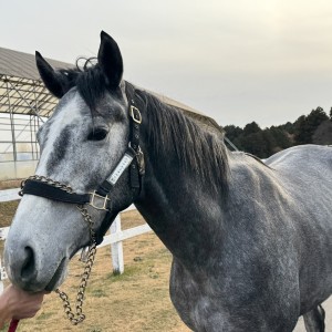 鉾田TPにて