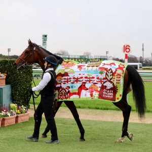 2025/3/15 3歳未勝利